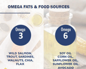 Omega 3 Vs Omega 6
