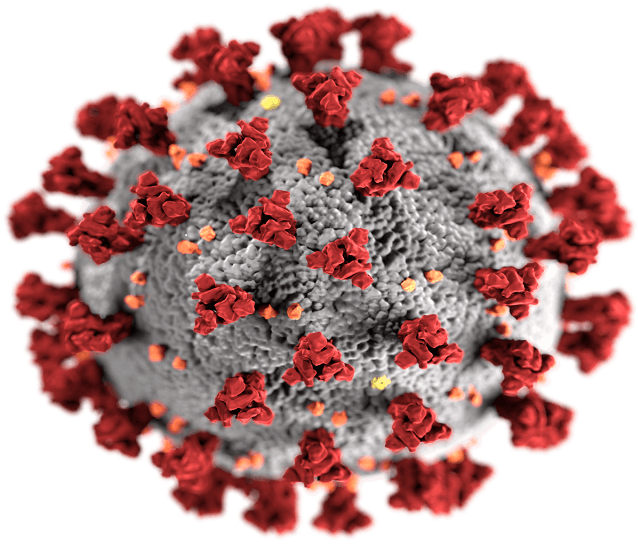 coronavirus