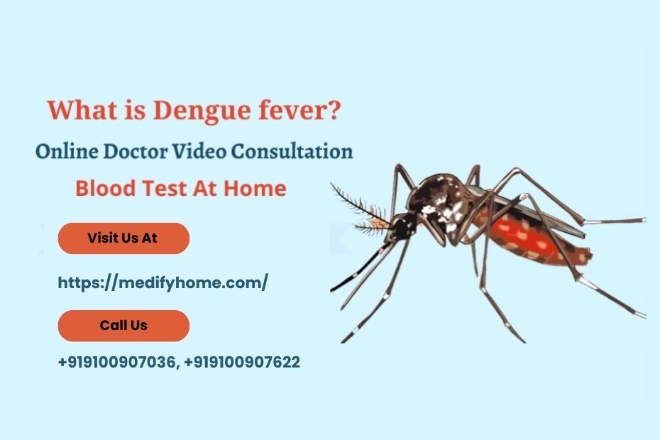 what is dengue fever?