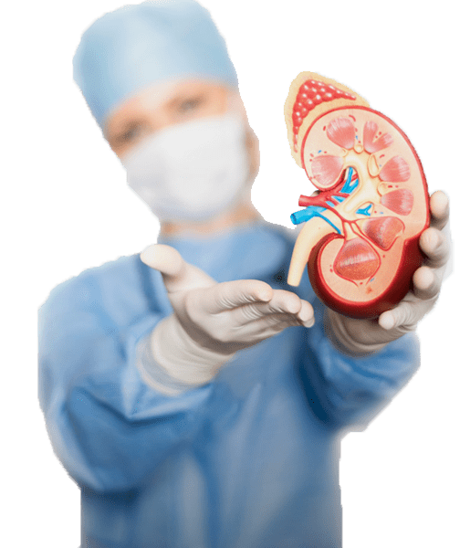 best Nephrologist in Bangalore