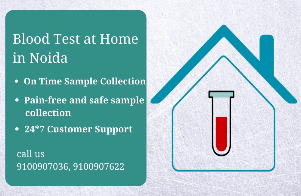 Blood test at home in Noida