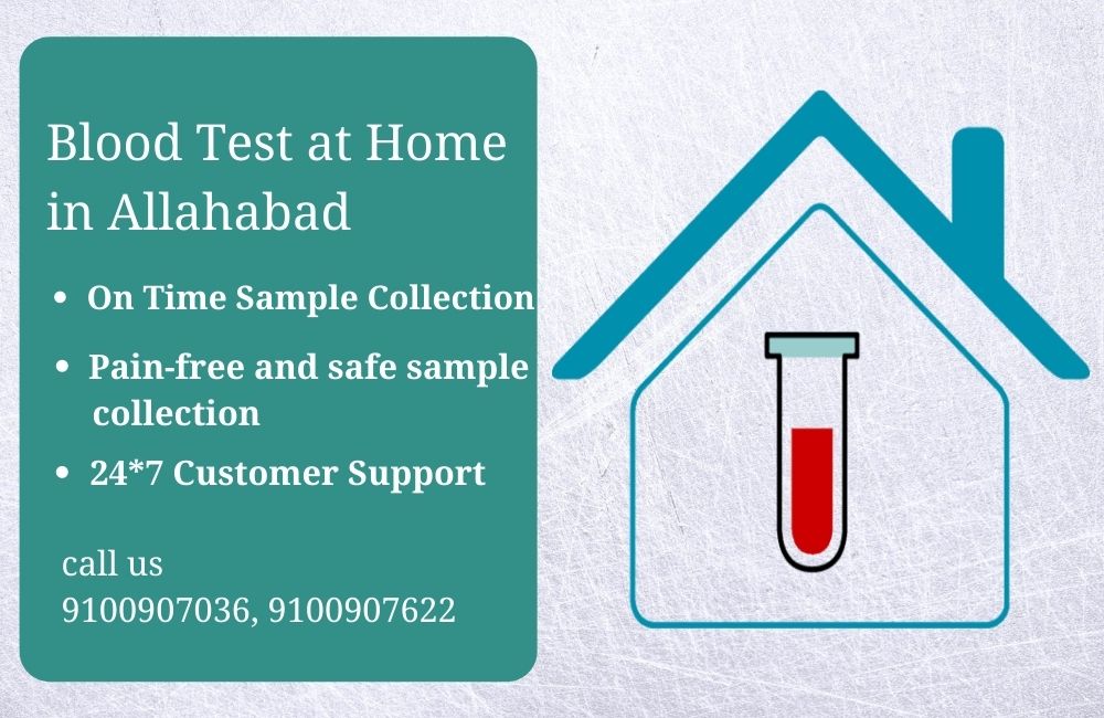 Blood Test At Home in Allahabad - Home Sample Collection Near Me