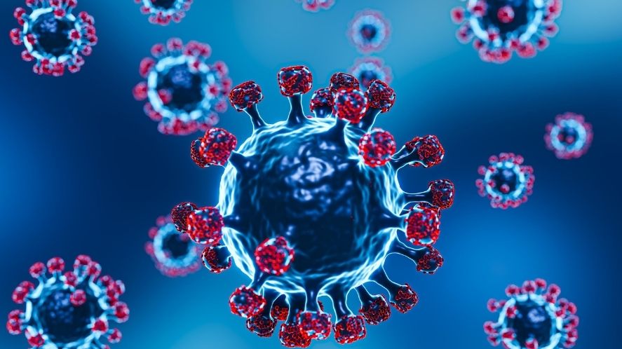Omicron Variant of Coronavirus in India