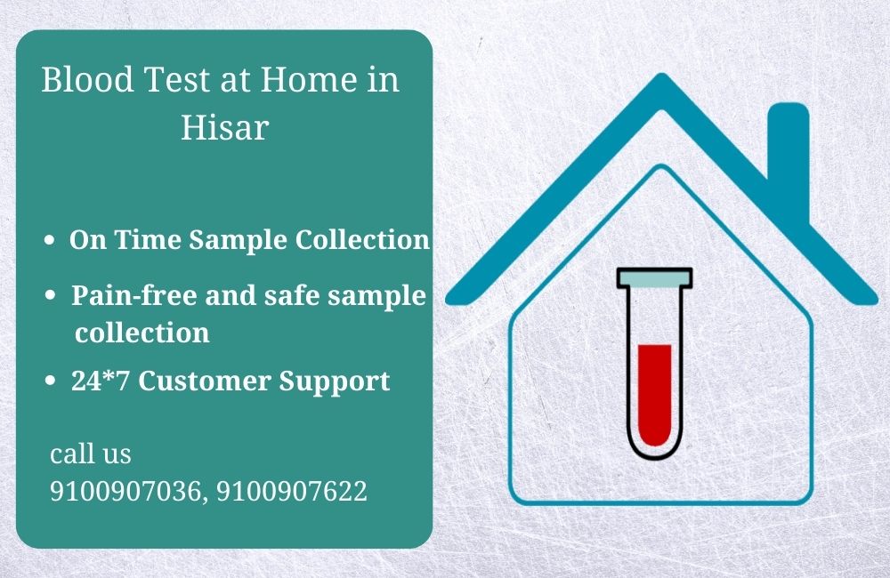 Blood test at home in Hisar