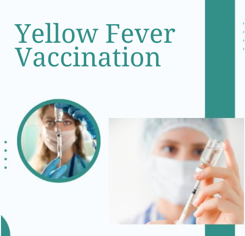 yellow fever