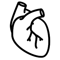 CT Scan Heart