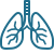 CT Scan lungs