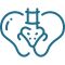 CT Scan Pelvis