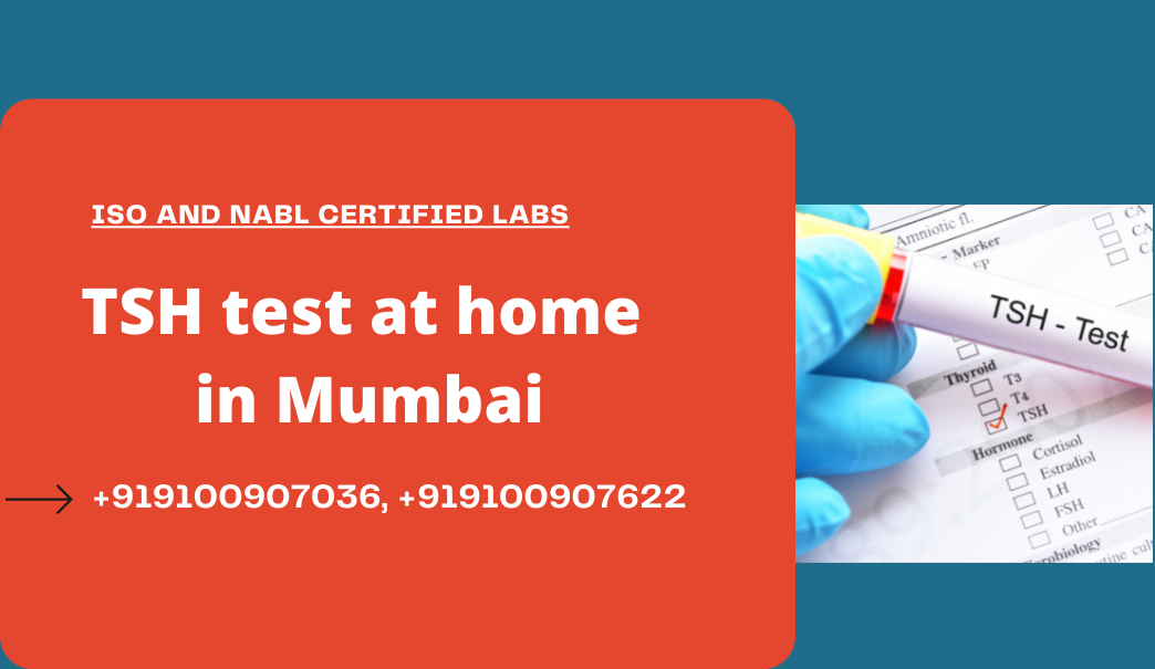 TSH Test cost in Mumbai