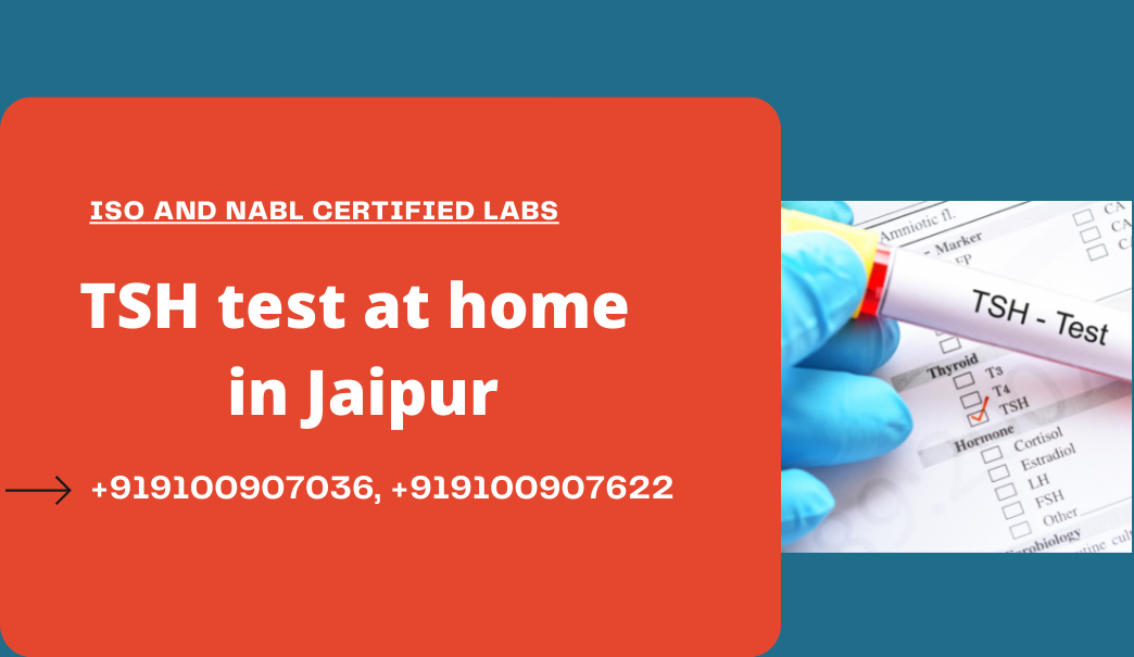 TSH Test cost in Jaipur