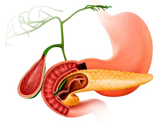 treatment for gall stones