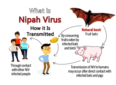 Nipah Virus