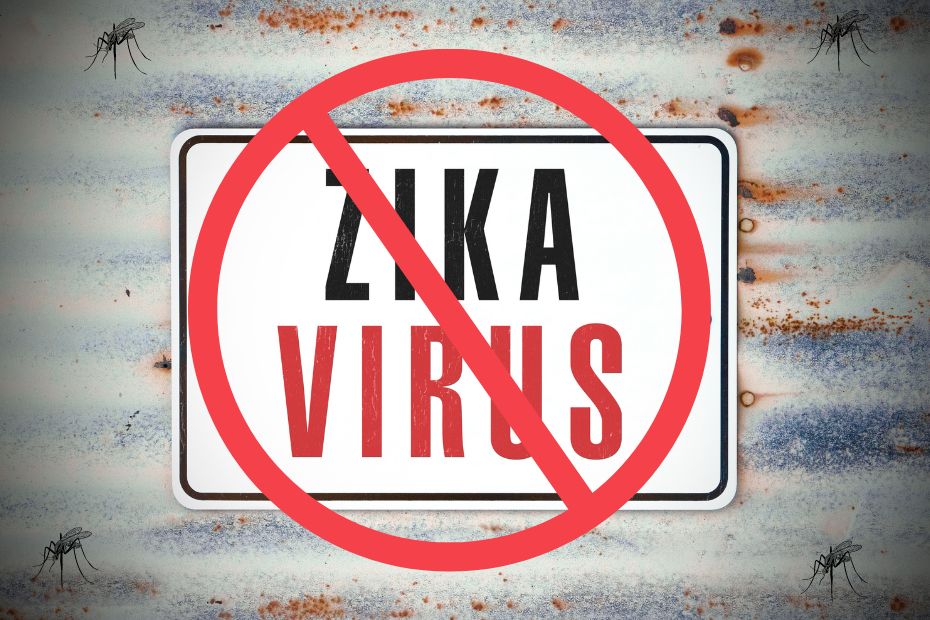 Zika Virus