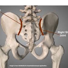 MRI Bilateral Sacroiliac (SI) Joints Test
