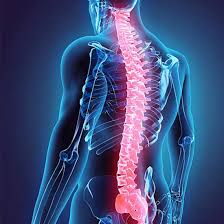 MRI Lumbo Sacral (LS) Spine with Hip Test