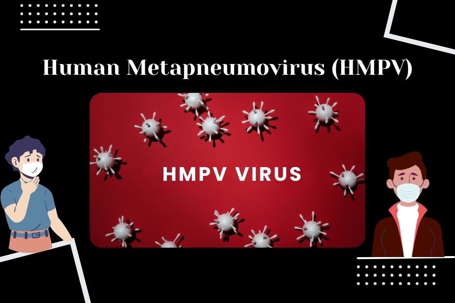 hmpv virus