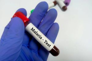 Malaria Screening