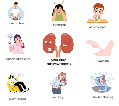 Unhealthy Kidney Symptoms