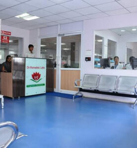 Dr Remedies Labs Pvt Ltd-Naraina Vihar, New Delhi