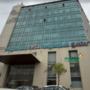 Apollo One Hosa Road Junction