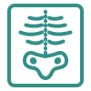 X-Ray